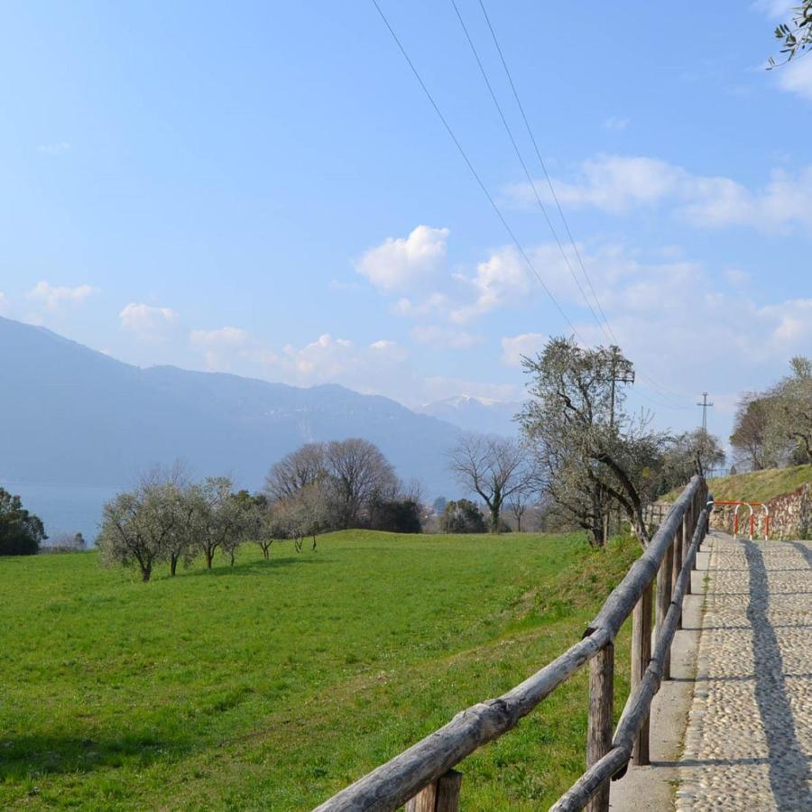 فيلا La Cascina Della Vigna Del Viandante اباديا لاريانا المظهر الخارجي الصورة
