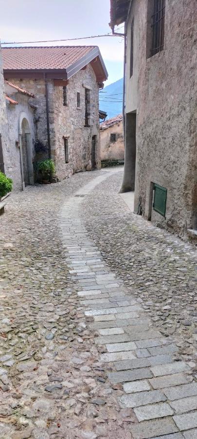 فيلا La Cascina Della Vigna Del Viandante اباديا لاريانا المظهر الخارجي الصورة